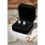 Begonia Accessories 925 Ayar Gümüş Minimal Yuvarlak Zirkon Taşlı 1 Çift 5 mm Küpe – Unisex Gümüş Takı, Zarif & Şık Tasarım, Günlük ve Özel Gün Kullanımı, Minimal Tek Taş, Hediye İçin Kutulu - Şeffaf