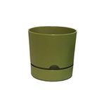 Begonya 15 cm Yosun Yeşili Saksı