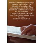 Behold, I set before you today a blessing and a curse: the blessing, if you obey the commandments of the LORD your God; and the curse, if you do not ... aside from the way... Deuteronomy 11:26-28