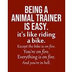 Being a Animal trainer is Easy. It's like riding a bike. Except the bike is on fire. You're on fire. Everything is on fire.: Calendar 2019, Monthly & Weekly Planner Jan. - Dec. 2019