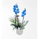 Bej Beton Saksıda Magic Blue Mavi Orkide Ve Okaliptus Aranjmanı