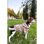 Bej Köpek Yağmurluğu, Reflektörlü Su Geçirmez Yağmurluk, Köpek Kıyafeti Köpek Yağmurluk - XL