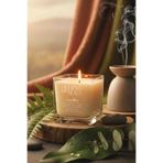 Believe Your Aura Vanilya Kokulu Mum - %100 Soya Mumu Paşabahçe Magnolia Kase Aromaterapi ve Dekoratif Mum - 250 cc