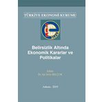 Belirsizlik Altında Ekonomik Kararlar ve Politikalar - Işıl Şirin Selçuk