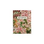 Belirtilmemiş Floral Sketchbook: Large Blank Paper Drawing Notebook For Art, Doodling, And Designing | Pastel Flo