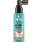 Belirtilmemiş Gliss Scalp Balance Saç Derisi Spreyi 100 ml