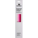 Belirtilmemiş Stanley Termos Uyumlu Stanley Quencher 1,18 Lt Termos Pipeti 4 Lü 10-10573-047 - Renkli