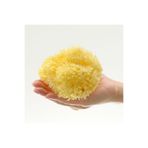 Bellini Sponge Bellini Deniz Süngeri - Banyo Süngeri Boyut:14