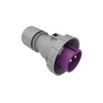 Bemis BC1-3102-7011 24V 2x32A 2P IP67 Düz Fiş
