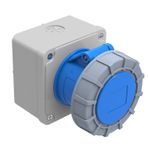 Bemis CEE Norm 5x16A Düz Duvar Prizi