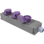 Bemis CEE Tri Box Grup Priz 2/32A. 24V. 3 Ad.