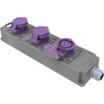 Bemis Cee Tri Box Grup Priz 3/32a. 24v. 3 Ad.