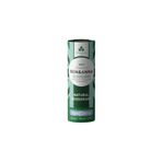 BEN ANNA Ben & Anna Mint Natural Vegan Deodorant Stick 40 G