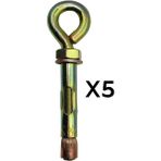 Benan Tools Master Kapalı Kancalı Çelik Dübel 6 mm Salıncak Boks Torbası Avize Tavan Asma Aparatı Asacağı 5 Adet