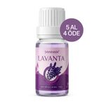Benevole Lavanta Uçucu Koku Yağı | Esansiyel Yağ | Buhurdanlık Yağı | Difüzör Esansı | Ortam - Oda Kokusu - 10 ml