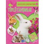 Benim Eğlenceli Çıkartma Kitabım Tüylü Tavşanlar-Parıltı Yayınları