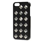 Benjamins Gümüş Zımbalı iPhone 5 Kılıf