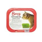 Benny kedi çimi