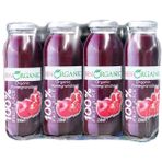 Benorganic Organik Nar Suyu 12 x 250 ml