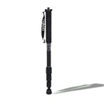 Benro C-29T Monopod