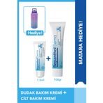 Bepanthol Cilt Bakım Kremi 100gr + Dudak Bakım Kremi 7,5 ml & Matara Hediye