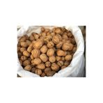 Beril Tarım / Kabuklu Ceviz (1 KG.)