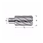Bering Hssco 21.0x50 mm Uzun Manyetik Matkap Ucu