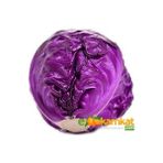 Berke Fidancılık Mor Lahana (Kara) Tohumu 25 gr Paket