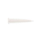 Berkley WH 5 cm 24'lü Gulp Saltwater Sandworm Sahte Kurt