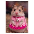 Berliva Home Hamster Örgü Elbise – Gezdirme Tasmalı Kemirgen Kıyafeti Pembe