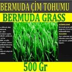 Bermuda Çimi (Ayrı Otu)Tohumu 500 gr