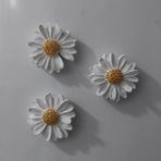 Bernami Şamdan Pinterest Papatya Set Magnet Buzdolabı Süsü Hediyelik Eşya Biblo Aksesuar - 3 Adet