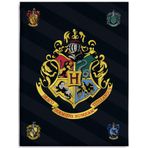 BERONAGE Büyük Harry Potter Hogwarts battaniye 150 x 200 cm süper yumuşak flanel battaniye yumuşak battaniye koltuk örtüsü polar battaniye Gryffindor Hufflepuff Ravenclaw Slytherin Ron Hermione Pass. nevresim takımı için