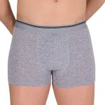 Berrak 1097 6'lı Gri Erkek Boxer