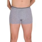 Berrak 1097 Gri Erkek Boxer