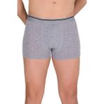 Berrak 1097 Likralı Geniş Kesim 20'li Paket Açık Gri Erkek Boxer