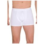 Berrak 2 Adet Beyaz Renk Modal Boxer Beyaz L