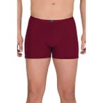 Berrak 4488 Modal 3 Adet Bordo Erkek Boxer