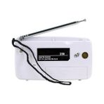 Berry Store HT-258 Taşınabilir Am/fm Radyo Küçük Boy Cep Radyosu Pilli Radyo K-258 Knstar
