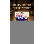 Beruflic Harry Potter Koleksiyon Figür Seti 2'li - Sürpriz Temalı Oyuncak - 1