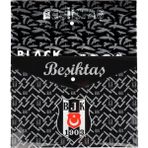 Beşiktaş Lisanslı 2'Li Çıtçıtlı Dosya Takımı 20 cm x 20 cm Siyah Renkli Desenli