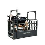 besimarket Büyükbaş Hayvan Kantarı - Hayvan Baskülü - İnek Kantarı - Büyükbaş Baskül - 3 Ton