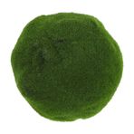 BESPORTBLE Simüle Yosun Topu Mini Modeli Ağaçları Yosun Çim Dekorasyon Şeffaf Vitrin Vintage Simülasyon Yeşil Çim Ekiciler Için Yeşil Yosun Ekran Kartı Vitrin Fenerler Köpük Green