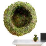 Besreey Yeşil Moss Ball Pot, Moss Ekici Pot | Bonsai Çiçek Tutucu - Bahçe Dekoru, Yeşil Bitki Tutucu, Ev Düğün Dekoru İçin Etli Bitki Konteyneri