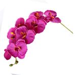 BestAlice 6 adet 8 Kafaları Plastik Kelebek Phalaenopsis Orkide, Sahte Orkide Yaprakları Dalları, Yapay Orkide Çiçekleri Mini Saksı Orkide Çiçekleri, Phalaenopsi Masa Centerpiece Ev için(#1)