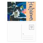 Bestchong Animal Lazy Cat Fotoğraf Çekimi Cadılar Bayramı Kartpostal Seti Teşekkür Kartı Posta Tarafı 20 adet