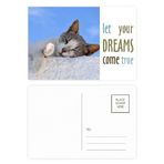 Bestchong Kitty Cat Pet Relax Sleep Animal Sevimli Dream Come True Kartpostal Seti Teşekkür Kartı Gönderi Tarafı 20 adet