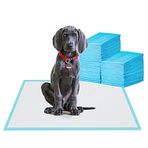 BESTLE Büyük Evcil Hayvan Eğitimi ve Yavru Köpekler için Çiş Pedi 24"x24"-80 Adet Süper Emici ve Sızdırmaz