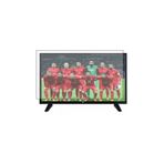 Bestoclass SEG 32SC5650 Uyumlu Tv Ekran Koruyucu