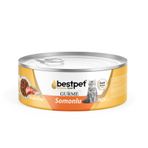 Bestpet Gurme Somon Soslu Yetişkin 85 gr Kedi Konservesi